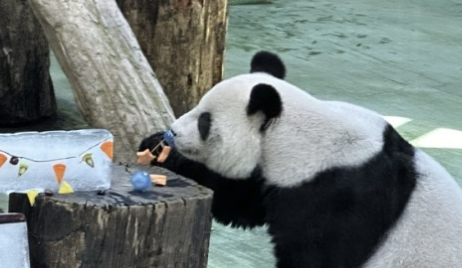 Pacific Islands Forum Removes References to “Taiwan” from Communique